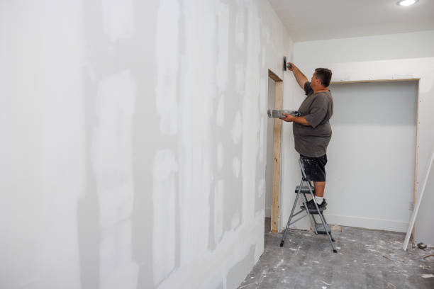 Best Basement Mold Removal  in Meridian Hills, IN